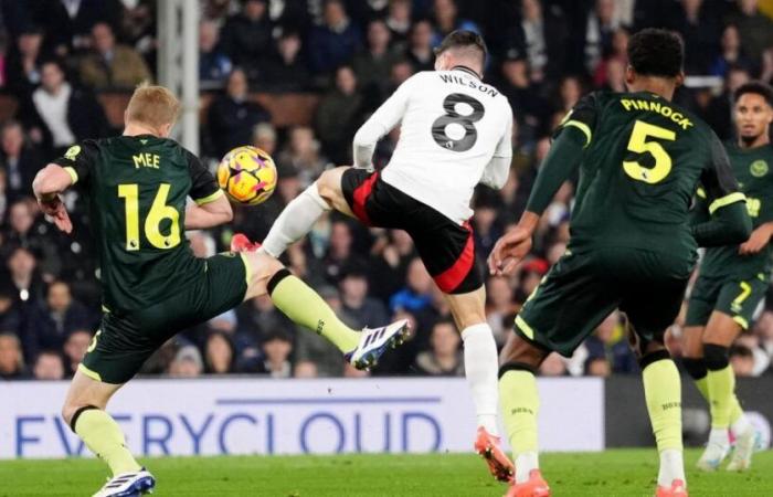 Supersub Harry Wilson stings Bees with added-time double for Fulham