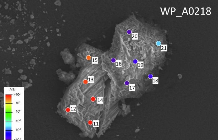 ???? These key components of DNA and RNA discovered in space, on Ryugu