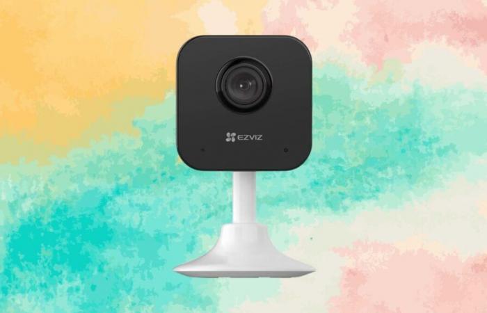 At Électro Dépôt, this surveillance camera with motion detection is 19.99 euros