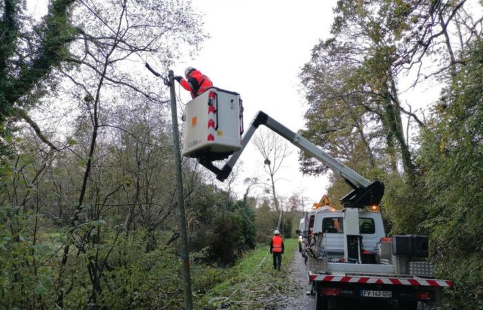 justice says no to couple who didn't want telephone poles