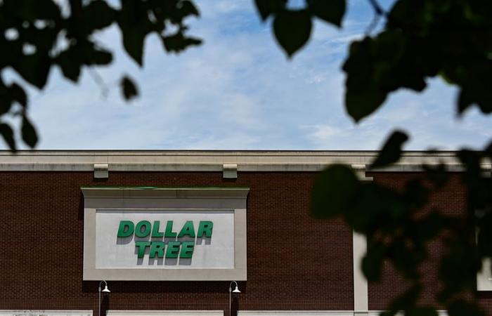 Dollar Tree CEO Rick Dreiling steps down