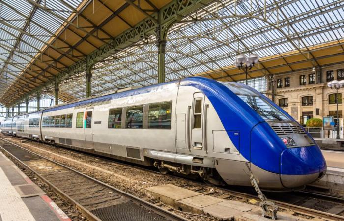 Indre-et-Loire. Trains canceled between Tours and Loches due to work