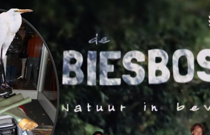 Sneaky preview of the documentary ‘De Biesbosch, Nature in Motion’ in the DeWitt film theater