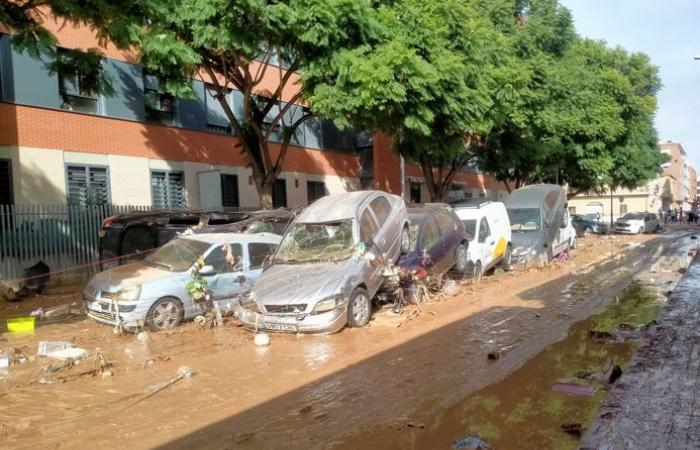 Floods in Spain – Five hours trapped on a car, a bottle of Schweppes to hydrate, bruises all over his body… the ordeal of this professor from Perpignan in the heart of the storm