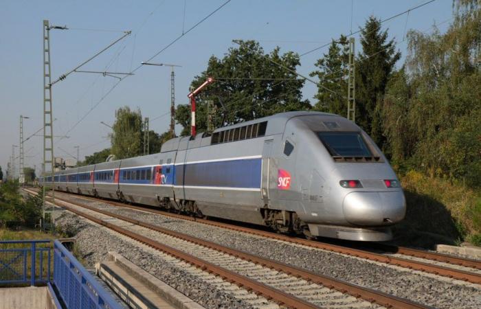 Closure of the Paris-Marseille high-speed line from November 9 to 12