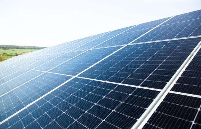 Photovoltaic panels in the heart of the vineyards in Rodilhan