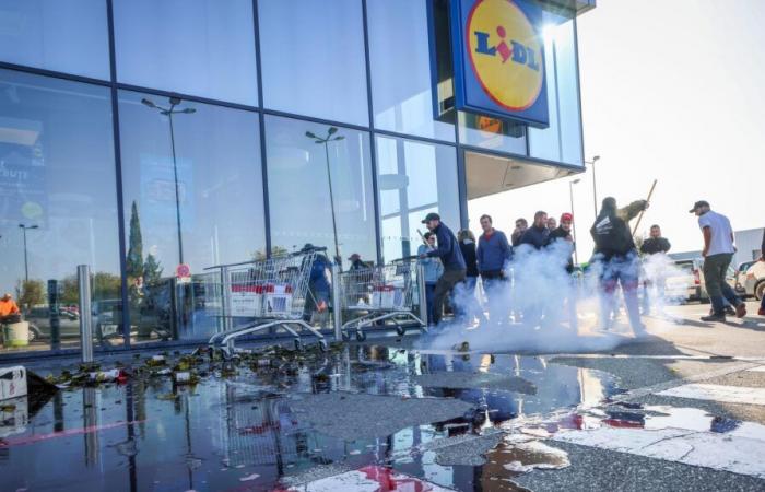 Vaucluse winegrowers break bottles in the face of Lidl's slashed prices