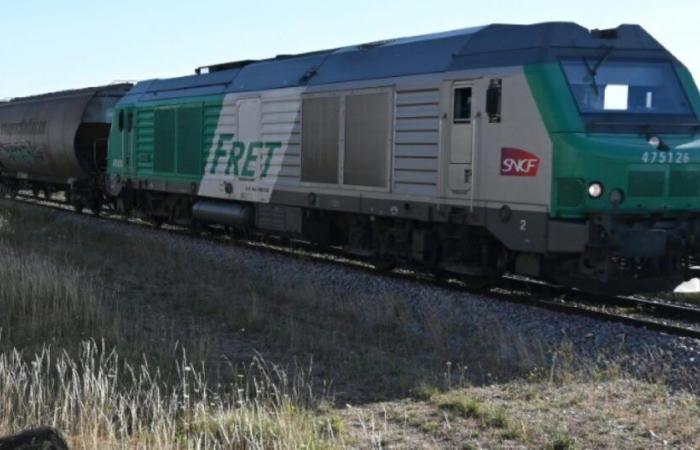 Fret SNCF will disappear despite the anger of the unions: News