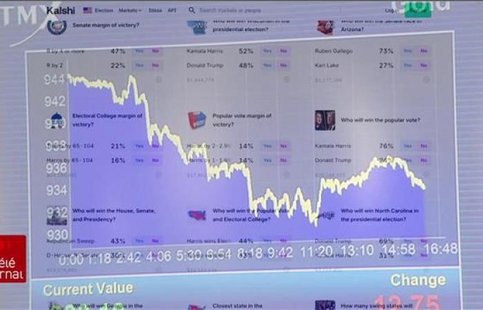 American elections: electoral betting platforms worry experts | US elections 2024