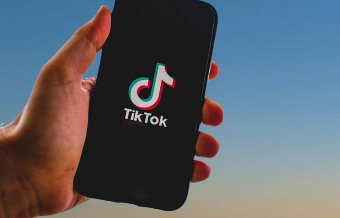 “The algorithm suggested worse and worse, on depression, or even scarifications”: Seven French families take TikTok to court, accusing it of promoting suicidal ideas