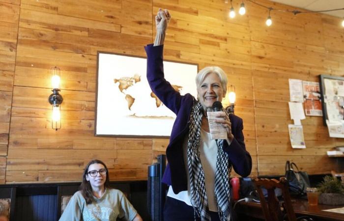 Jill Stein, the environmentalist candidate who shakes the Democratic camp