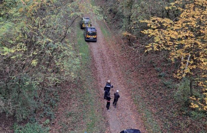 Moselle. The body of a teacher found lifeless during a hunt in Blies-Ébersing