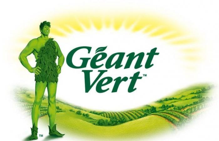 Géant Vert: sustainable and local sweet corn production in the Landes