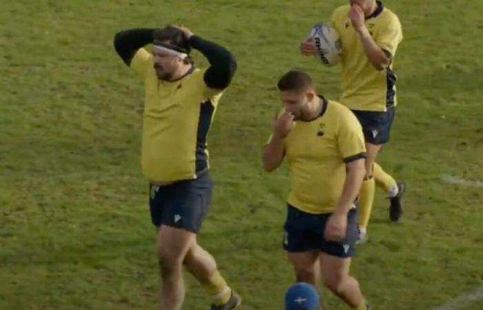 Rugby Europe: a 134kg Swedish pillar scores a 50-meter try… it's worth the detour!