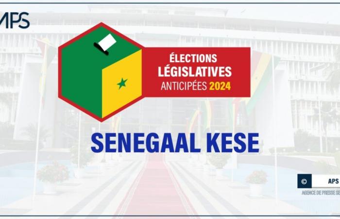 SENEGAL-LEGISLATIVES -CAMPAIGN / Ziguinchor: Thierno Alassane Sall promises a repeal of the amnesty law adopted in March – Senegalese press agency