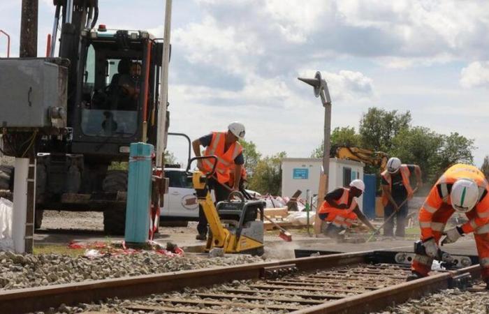 soon a return of trains on the freight rail line between Laluque and Tartas?