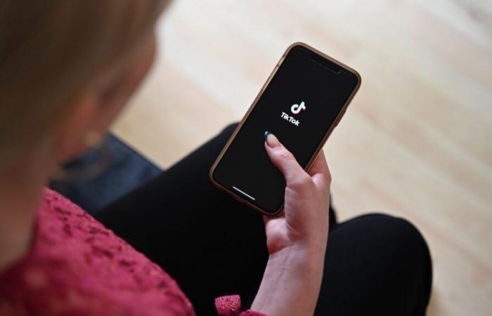 INFO FRANCEINFO. The social network TikTok taken to court by seven families in France