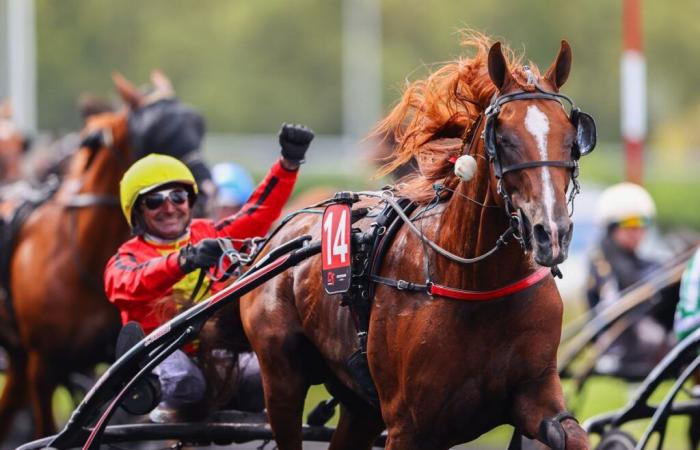 Prix ​​Marcel Laurent (Gr. II): the starters are known