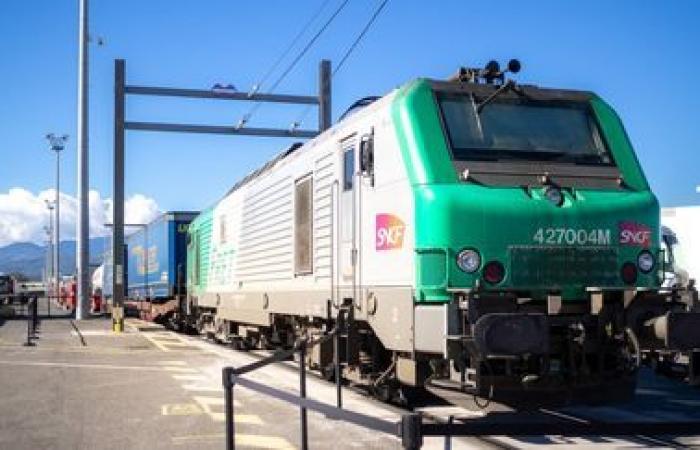 Fret SNCF will disappear on January 1, 2025 and will be replaced by two separate companies