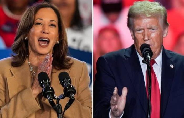 Donald Trump lashes out as race with Kamala Harris goes down to the wire