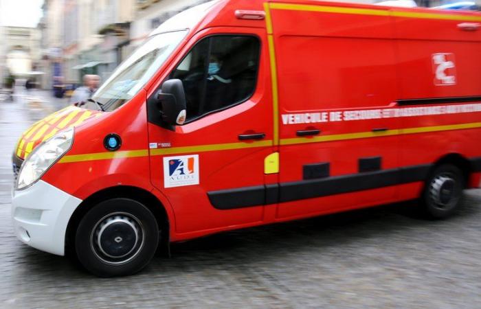 Aude: A 60-year-old man dies after being crushed by his tractor in a field