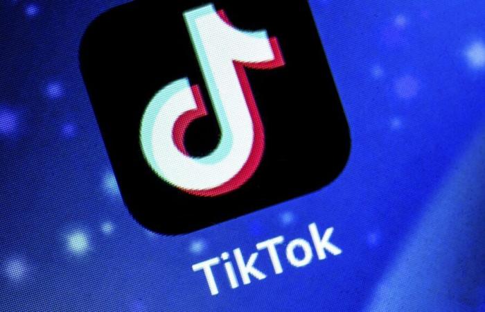 Seven families take TikTok to court to have the network's impact on their children's health recognized