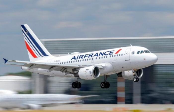 Air France suspends flight over Red Sea after report of “luminous object at high altitude”: News