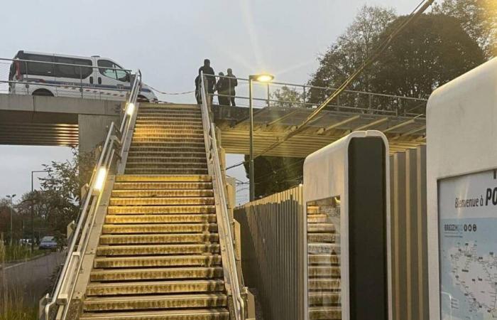 Fatal stabbings in Rennes. An 18-year-old turned himself in to the police