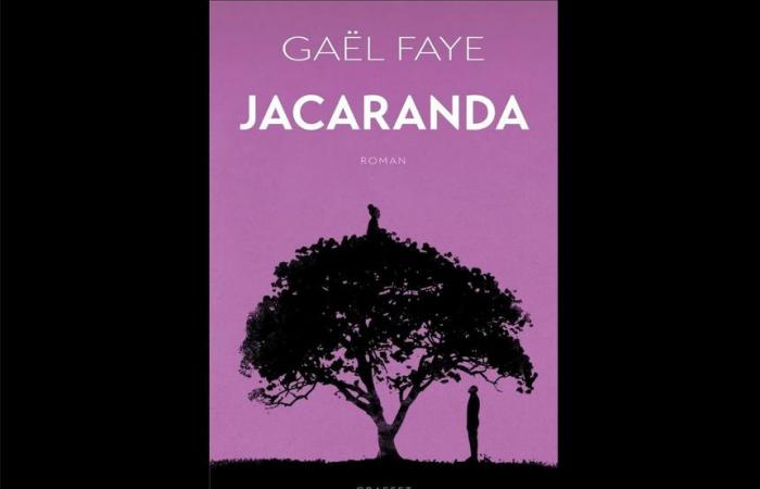 Gaël Faye Renaudot Prize 2024 for “Jacaranda”