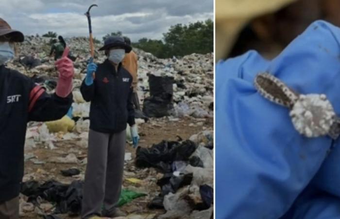 She finds her diamond in a landfill after 30 hours