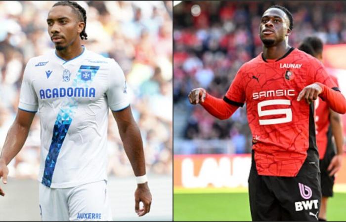 Auxerre – Rennes: TV and free broadcast, streaming and probable compositions