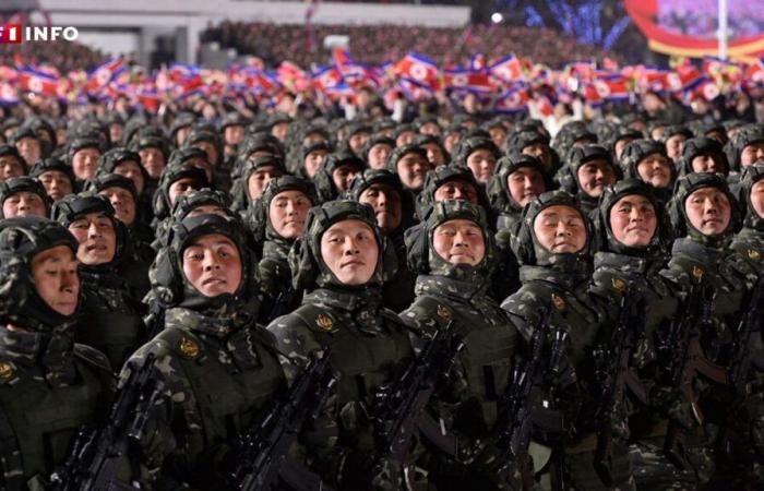 Russia: North Korean soldiers already engaged in fighting in Kursk?