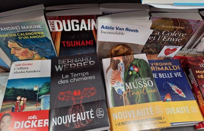 how the French edition releases its books in organized banners