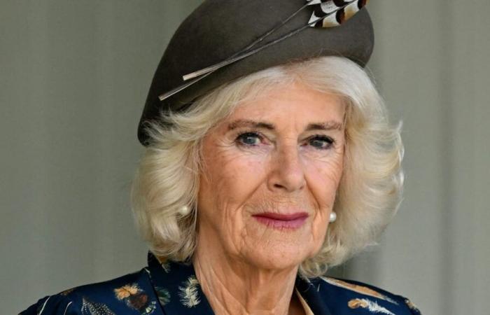 Queen falls ill and Charles is worried: Camilla cancels all appointments | Entertainment