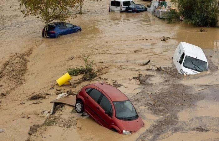 Floods in Spain: the Francescas Festival Committee launches an appeal for donations and wants to send clearance equipment to the victims