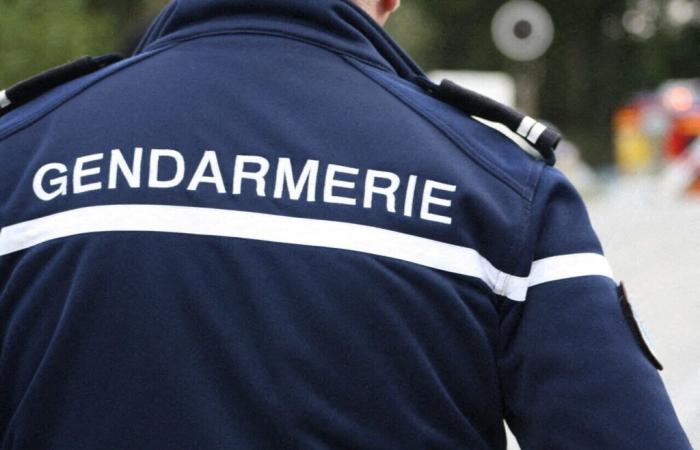 An octogenarian missing for several weeks found lifeless in Haute-Savoie