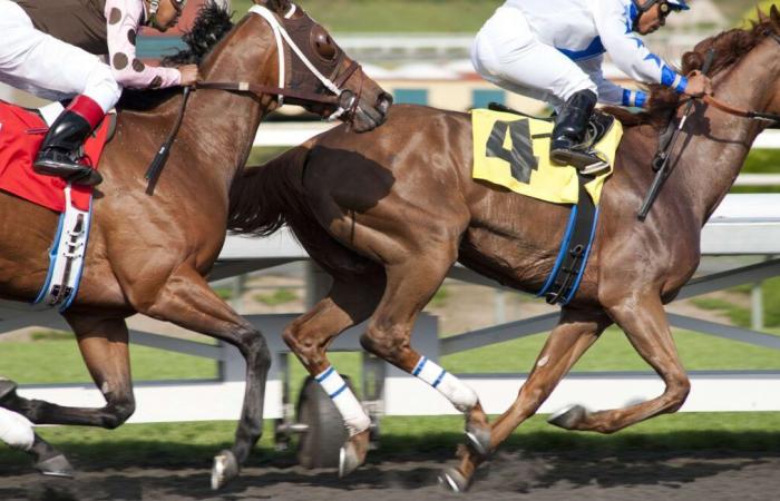 The horse racing industry is standing up against possible taxation of betting