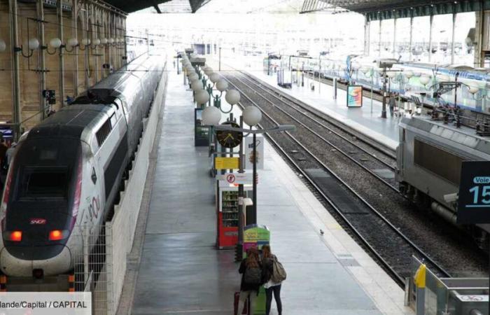 Several SNCF TGV stations set to disappear, why is this worrying