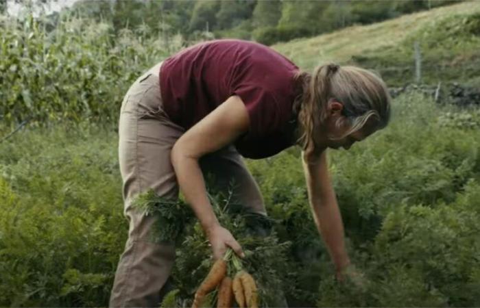 In Eure, this association organizes a film debate to talk about ecological issues