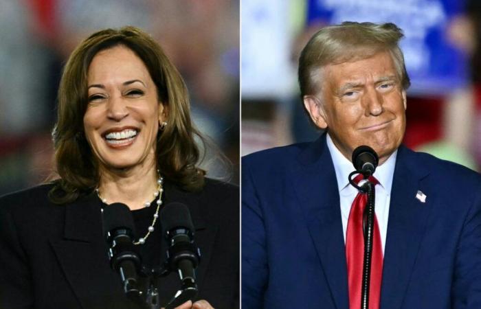 Trump fantasizes about election fraud – a boost for Harris