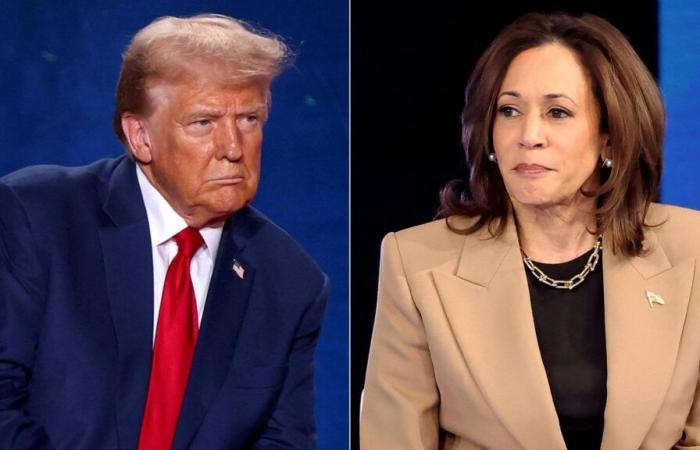 Donald Trump or Kamala Harris? What the latest polls say a few hours before the American election