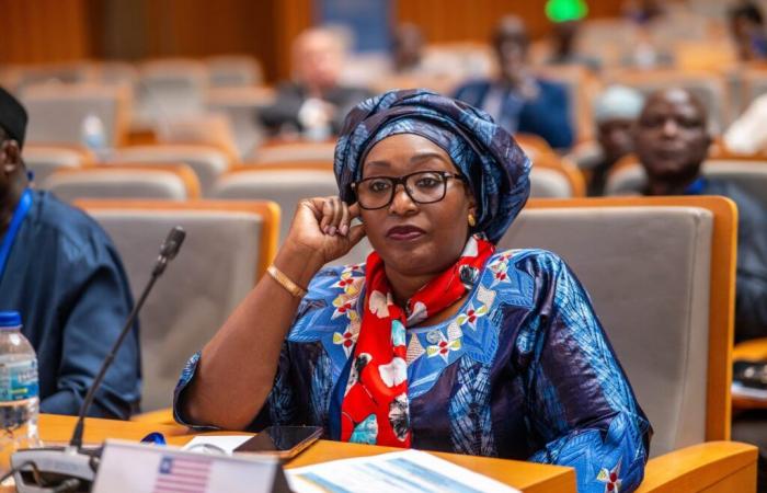 FAO: 16th meeting on social protection in West Africa | APAnews