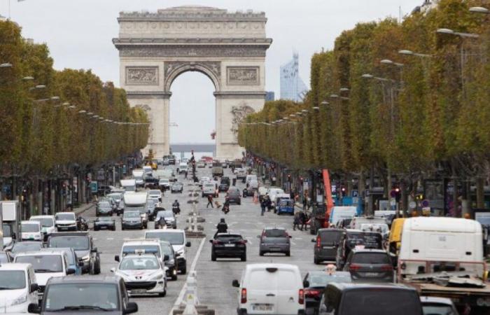 Should we ban cars from the centers of our cities? : News