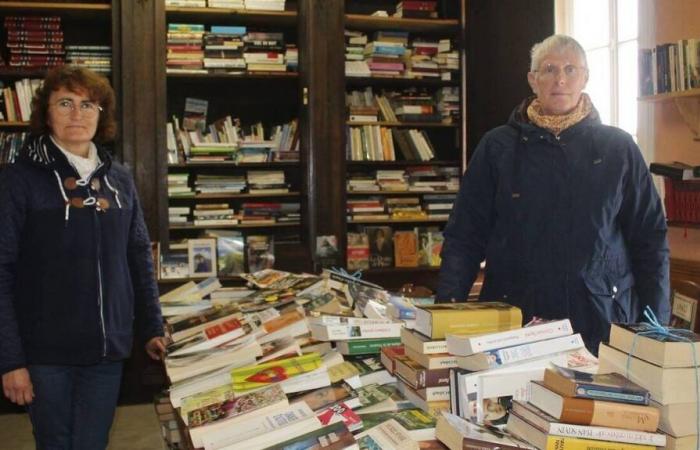 Despite 4,000 books available, the giant book box of Theurthéville-Bocage is little used