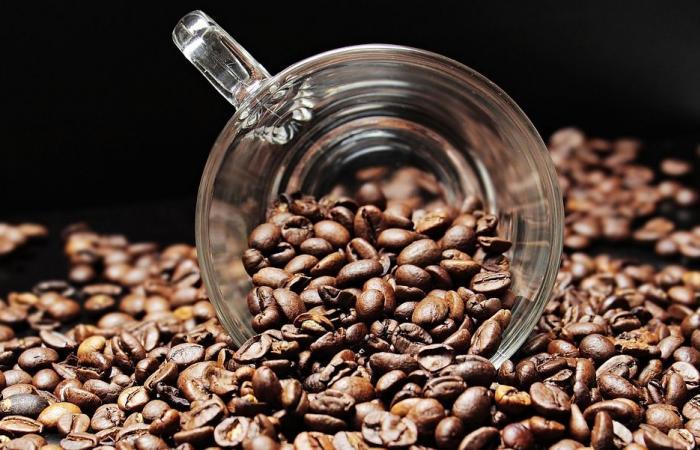 Zitouni reiterates State's commitment to controlling coffee prices