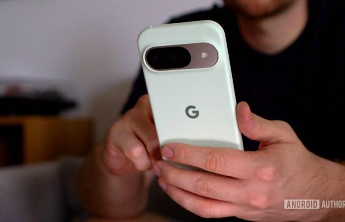 Google Pixel had an almost unbelievable month, according to market share data