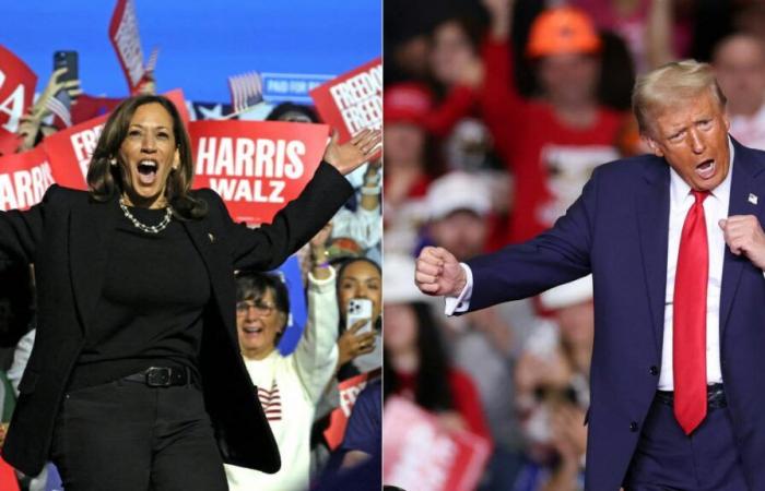 Harris? Trump? What the latest polls say (infographic)