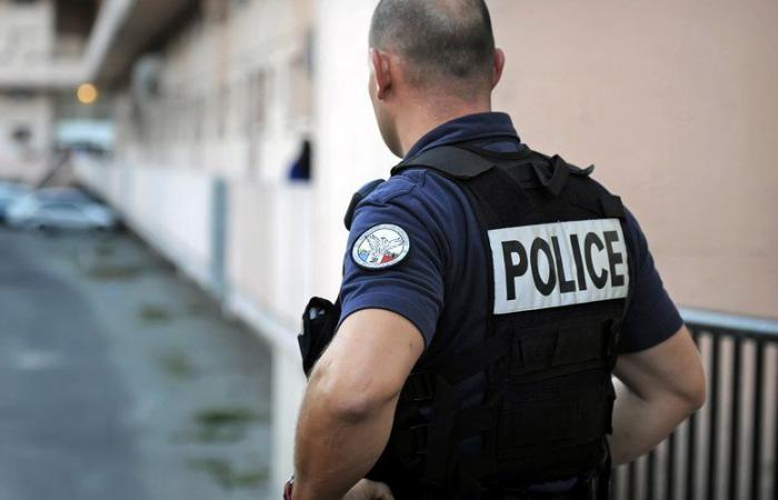 Middle finger, spitting and masturbation in front of police officers… News items in Lot-et-Garonne