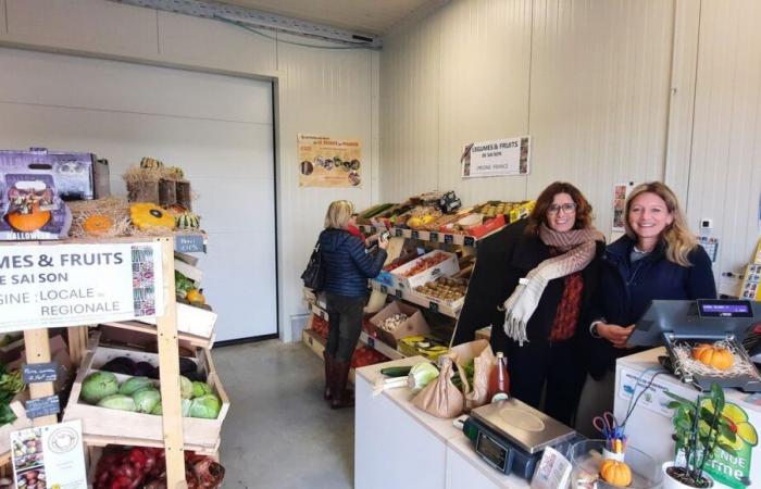 “A leek and a stamp”: in Eure, the Post Office opens relay points on the farm