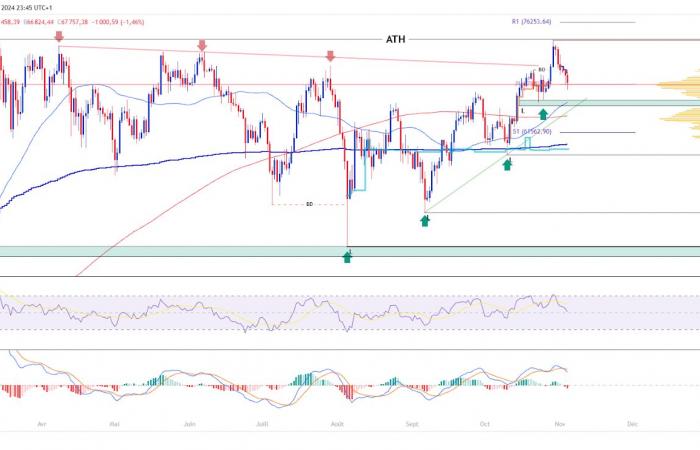 Bitcoin Drops Below $70,000! Analysis Of November 5, 2024